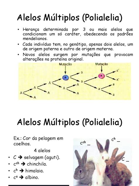 polialelia ou alelos múltiplos.